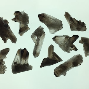 11 Smoky Quartz Crystals Clusters, Small Multi Point Smoky Quartz Crystals, Raw Crystals and Stones, Rocks and Minerals, Healing Stones
