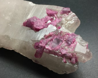 5.25 Inch Pink Tourmaline in Quartz, Large Quartz Crystal with Rubellite Pink Tourmaline Crystals, Raw Crystals and Stones, Rocks & Minerals