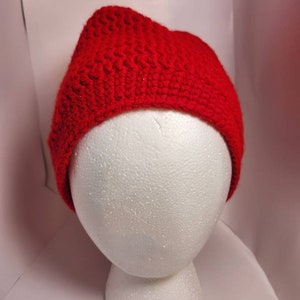 Beanie Hat crochet
