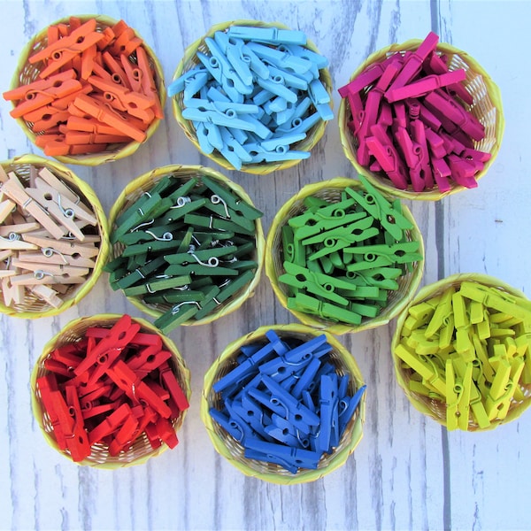 Mini Clothes Pins Etsy