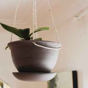 Peut inclure: Une jardinière suspendue avec un pot en céramique brun foncé et une plante verte aux longues feuilles.