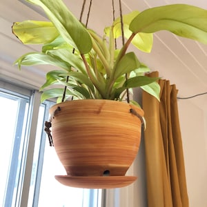 May include: A hanging planter with a light green plant and a light brown, striped ceramic pot. The pot has a drainage hole and a saucer.