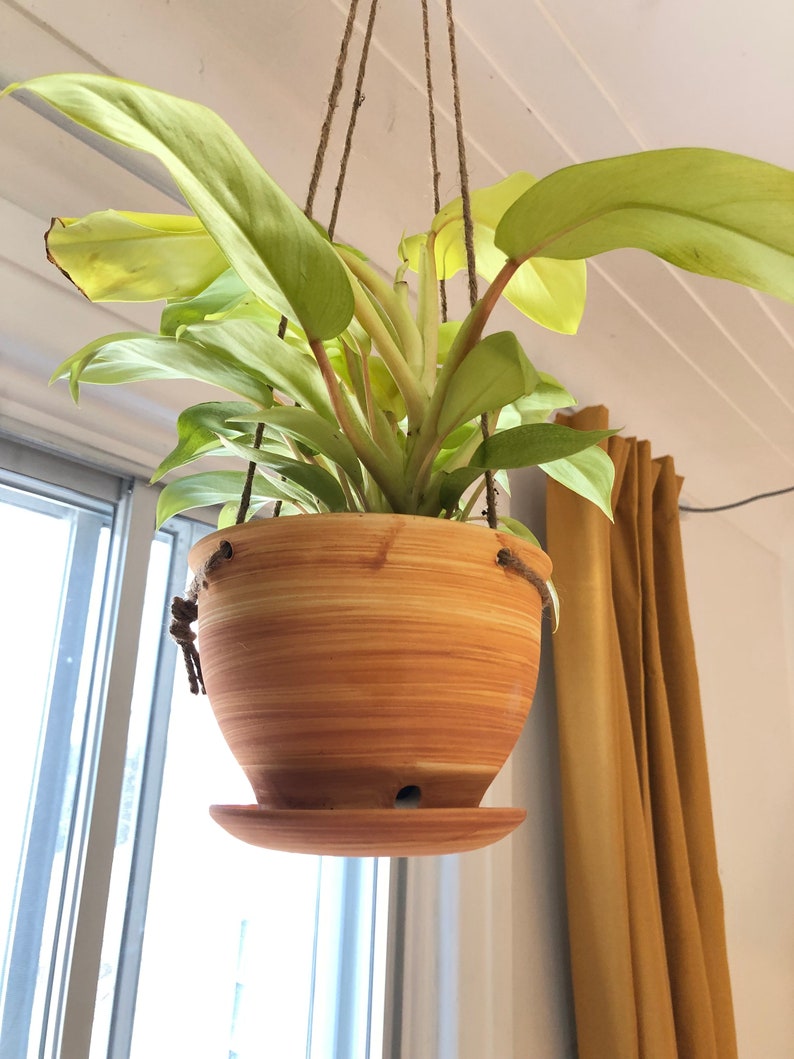 May include: A hanging planter with a light green plant and a light brown, striped ceramic pot. The pot has a drainage hole and a saucer.