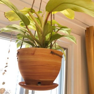 May include: A hanging plant with light green leaves in a brown ceramic pot with a matching saucer. The pot has a wood-grain pattern.