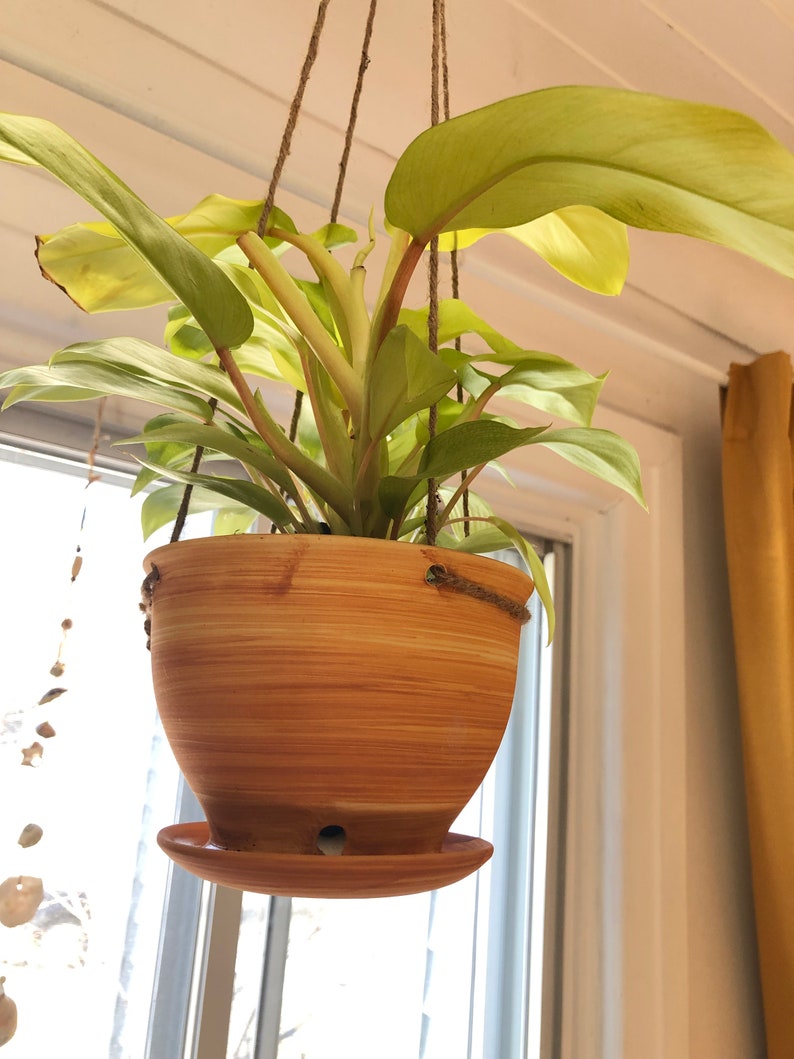 May include: A hanging plant with light green leaves in a brown ceramic pot with a matching saucer. The pot has a wood-grain pattern.