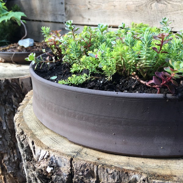 Succulent pottery planter, bonsai planter. Round, various sizes available, Customizable, Made in Quebec, Canada