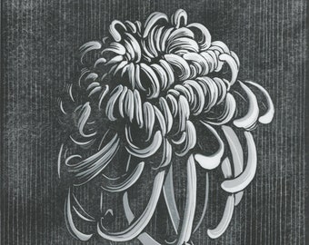 Chrysanthemum in shades of gray . Reduction Linocut