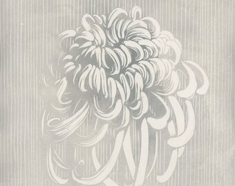 Chrysanthemum. Relief print & Chine-Colle