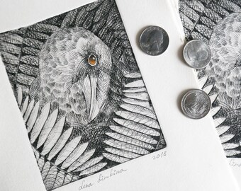 Yellow-eyed raven. Handprint, Etching
