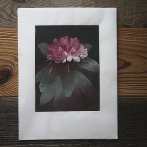 Rhododendron. Reduction Print. image 3