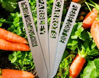 Vegetable Herb Plant Stakes | Eco-Friendly Garden Markers Set of 3 | Cute Home Aesthetic Tags for Spring Gifts