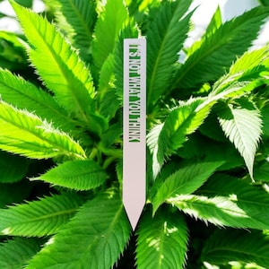 Umweltfreundliche Gartenmarkierungen 3er-Set | Niedliche Pflanzenstecker für Kräuter & Gemüse | Dekorative Pflanzenanhänger für Frühlingsgartengeschenke