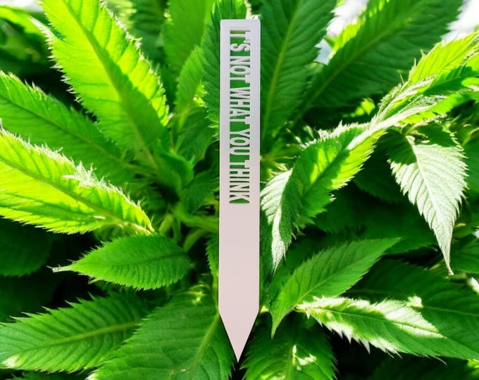 Eco-Friendly Garden Markers Set of 3 | Cute Plant Stakes for Herbs & Vegetables | Decorative Plant Tags for Spring Garden Gifts