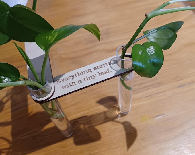 Personalized Plant Propagation Gift For Plant Lover Plant Accessories Planter Flower Pot Propagation Station - Tubes Wood Holder Custom Text