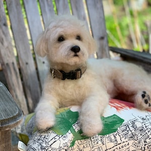 Life size small breed dog replica/wool sculpture