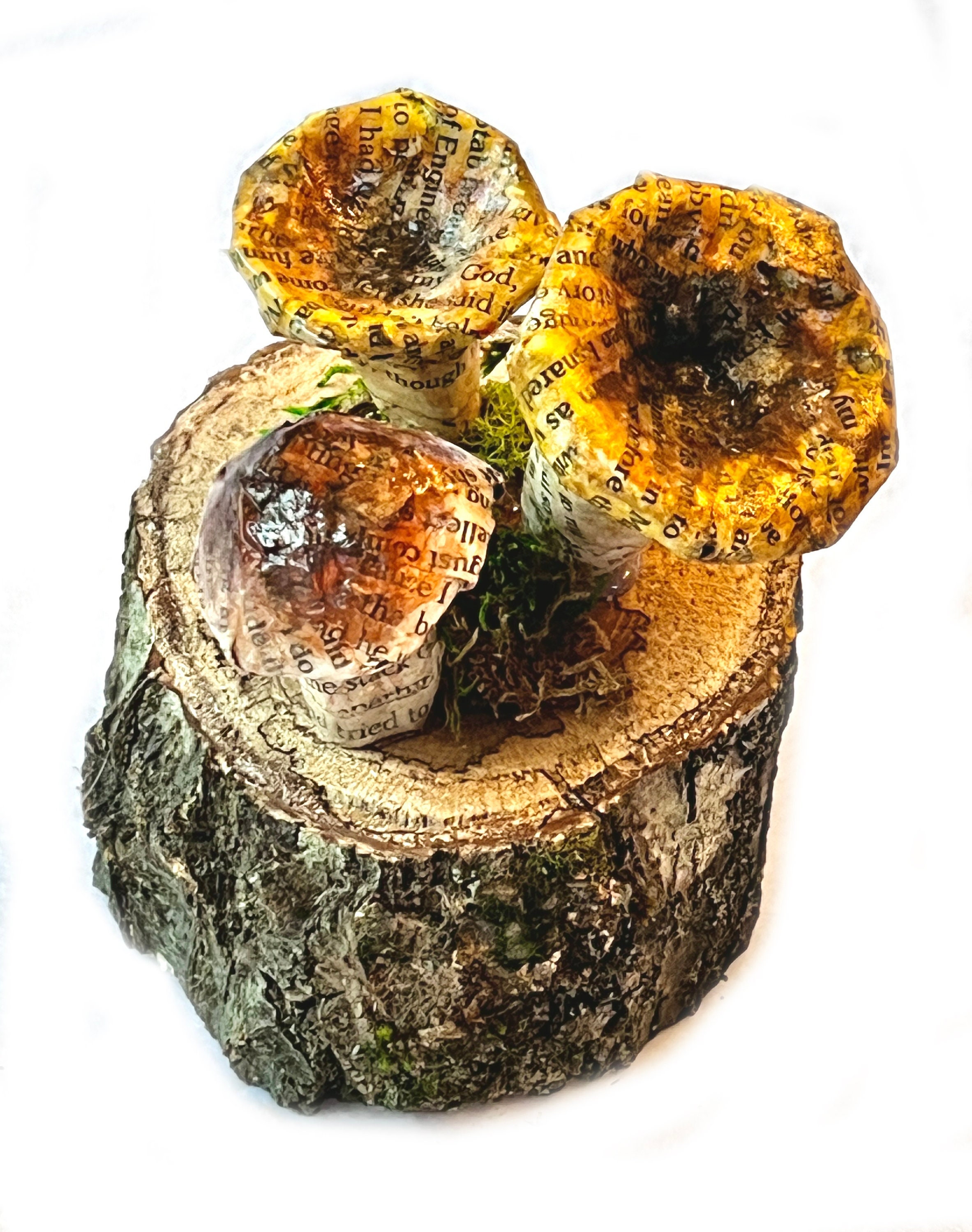 Handmade Paper Mache Champignon Mushroom Sculptures by French