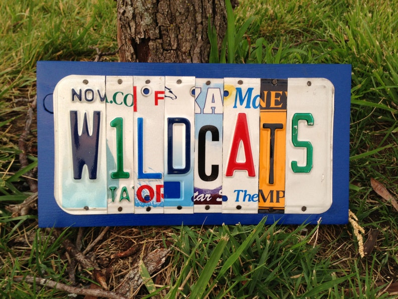 USA Custom Recycled LICENSE PLATE Art Sign Etsy