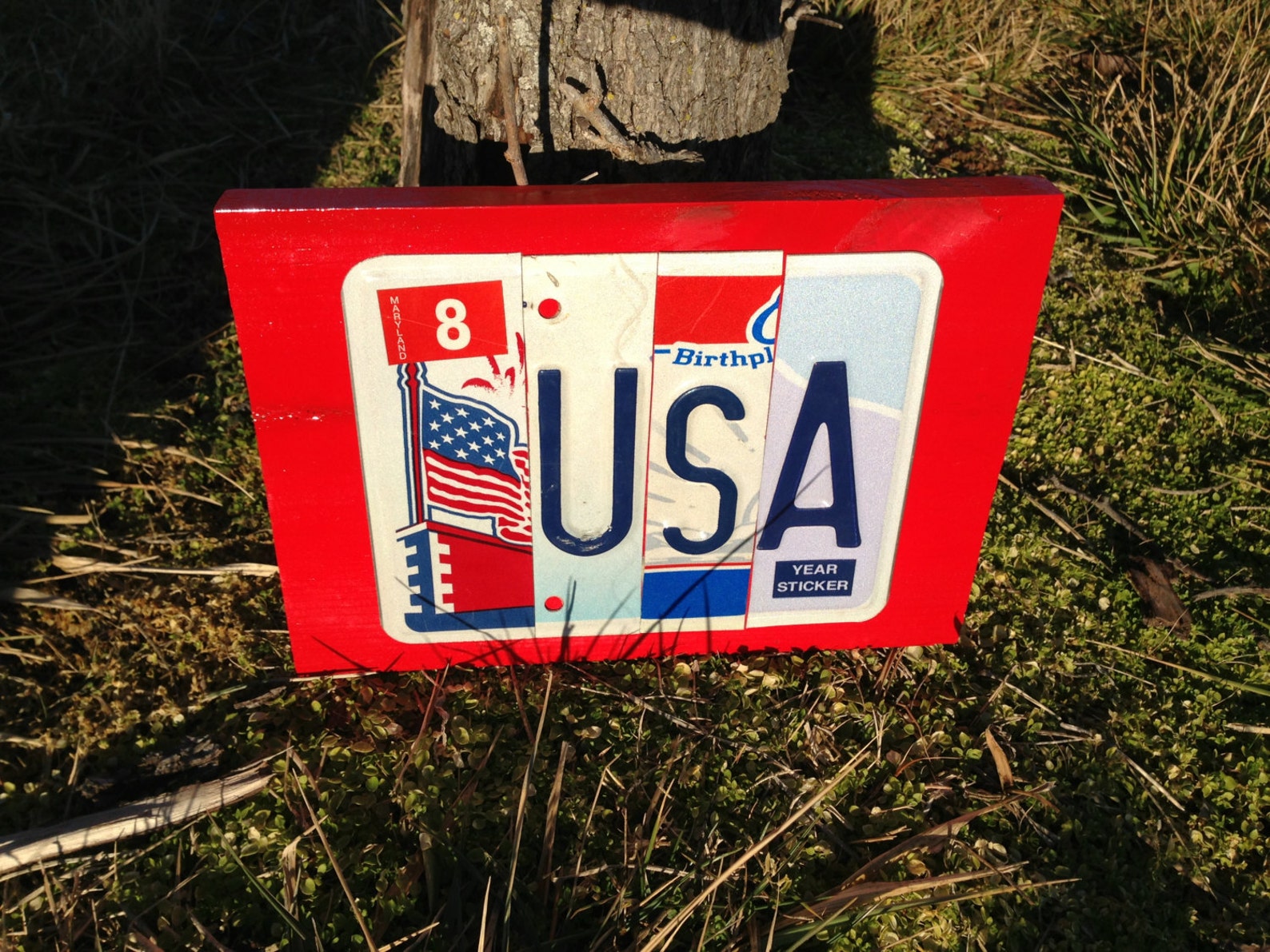 USA Custom Recycled LICENSE PLATE Art Sign Etsy