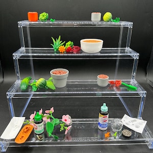 Mini Sukkulenten mit Gartenwerkzeuge und Goldfischglas, Orchidee, Topf, Pflanzer, Garten