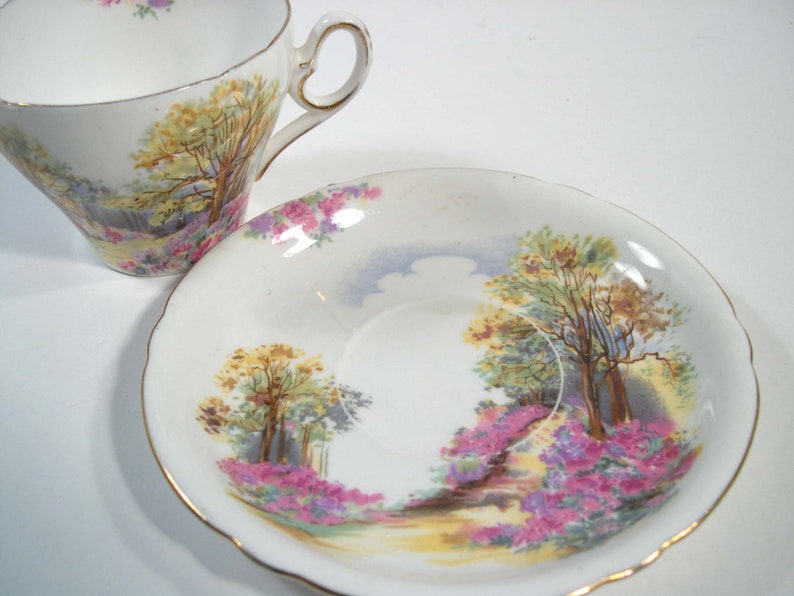 SHELLEY England's Charm Tea Cup And Saucer Etsy