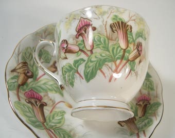 Royal Albert  Tea Cup And Saucer, Jack-in-a-Pulpit tea cup set,