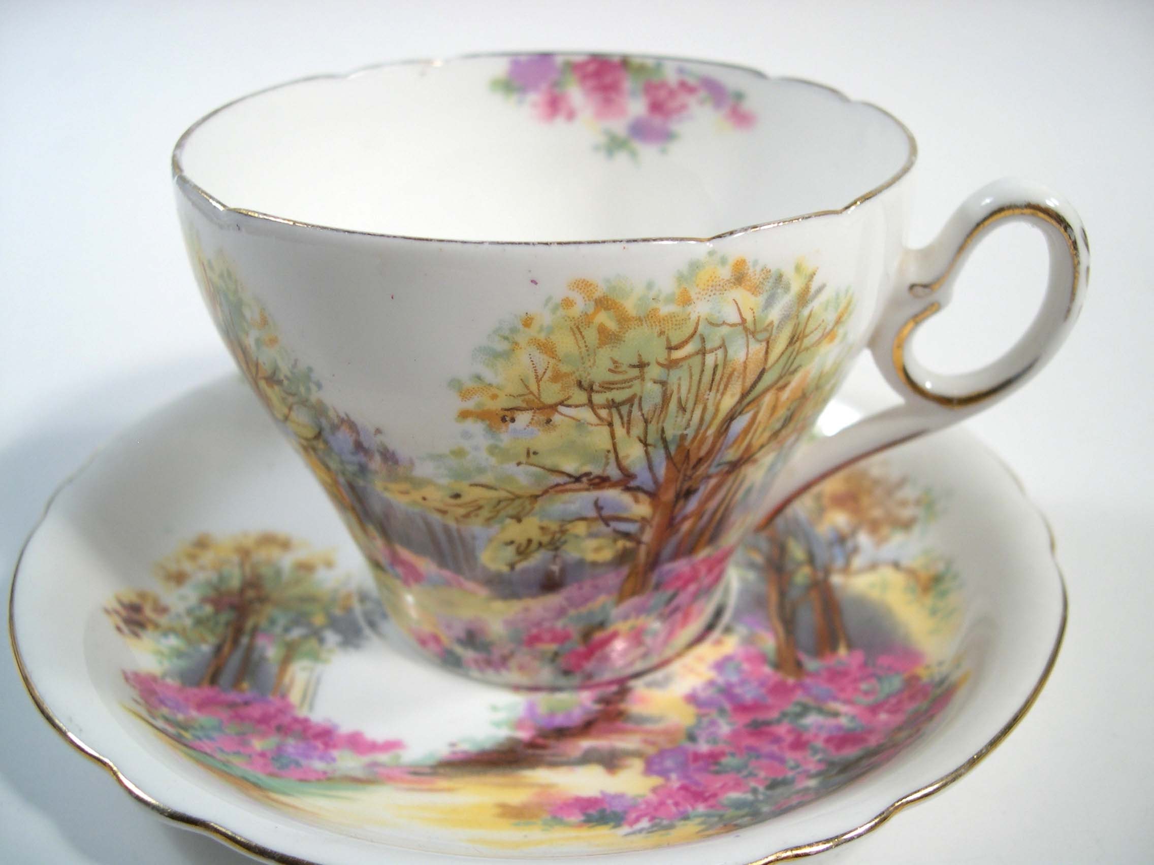 SHELLEY England's Charm Tea Cup And Saucer Etsy