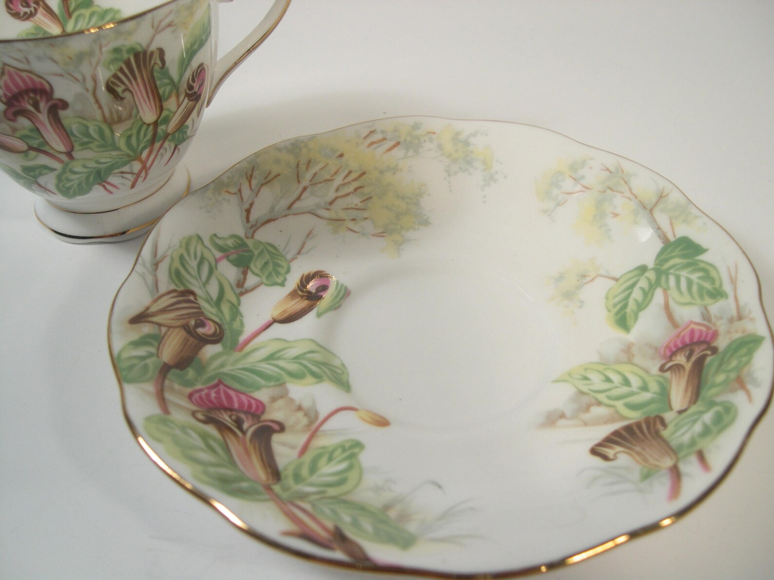 Royal Albert Tea Cup and Saucer Jackinapulpit Tea Cup Set Etsy