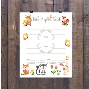 Woodland Baby's 8 x 11 inch Baby Tooth Eruption Chart, Print thuis, Instant Download, Baby Herten, Baby Forest Animals Tooth Chart