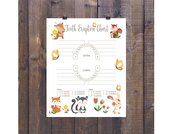 Woodland Baby Tooth Chart: Forest Animals Eruption Tracker (Instant Download)