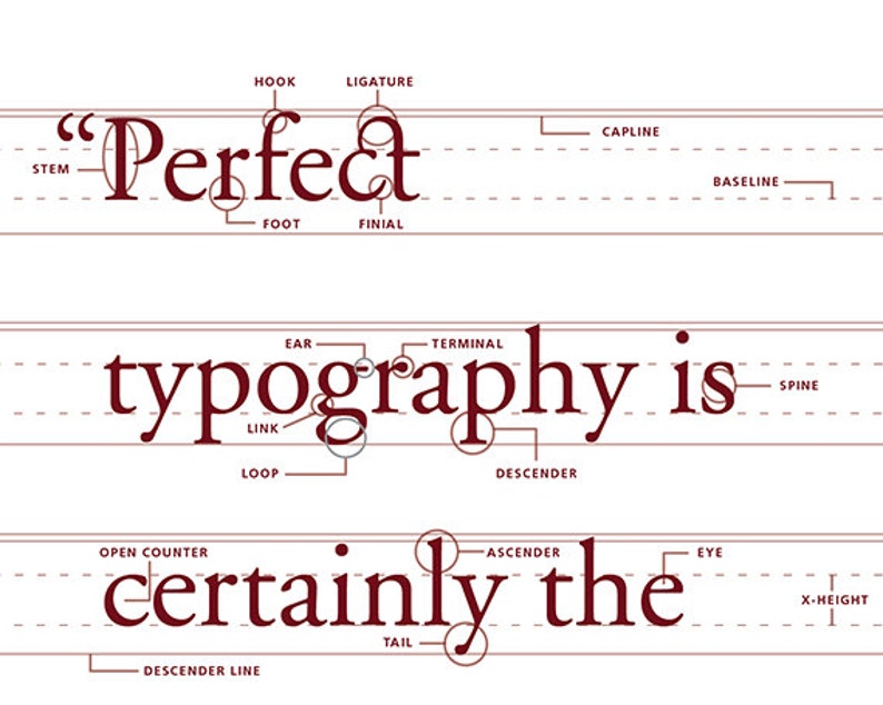 script typeface parts script typeface parts