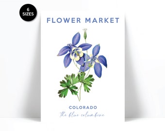 Flower Market Art Print - Colorado State Flower Wall Art - Blue Columbine Poster - Floral Botanical Plant Print - Flower Shop Art Decor
