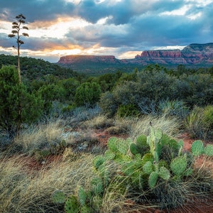 Southwestern Photography Print - Bild von Wüstenlandschaft bei Sonnenuntergang in der Nähe von Sedona Arizona Kaktus Wand Kunst Western Decor