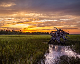 Lowcountry Photography Print - Wall Art Picture of Dead Tree in Salt Marsh at Sunset in Pinckney Island South Carolina Landscape Decor