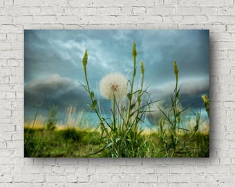 Wall decor nature | Etsy