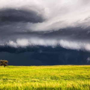 Storm and Lone Tree Nebraska • Print | Canvas | Metal | Framed • Prairie, Thunderstorm, Landscape, Weather, Photography, Picture, Wall Art
