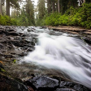 Paradise River Mount Rainier National Park Washington • Print | Canvas | Metal | Framed • Pacific Northwest, Photography, Picture, Wall Art