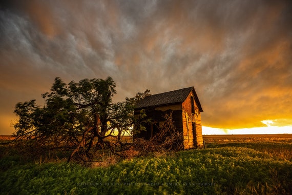 Country Photography Wall Art Print Picture of Old Wooden Barn with Red Tin Roof in Mist in Rural Arkansas Rustic Farm Decor 5x7 to 40x60