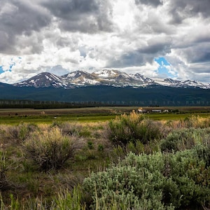 Mount Massive Colorado • Print, Canvas, Metal, Framed • Leadville, Rocky Mountains, Landscape, Western, Picture, Photo, Wall Art, Decor