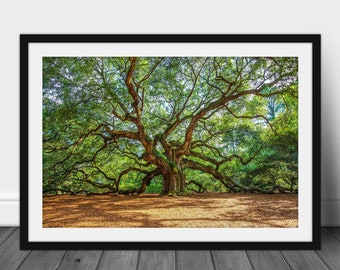 Framed Print with Optional Mat (Ready to Hang) Picture Angel Oak Tree near Charleston South Carolina Nature Wall Art Lowcountry Decor