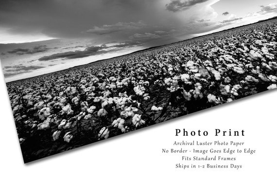 Art Photography Cotton clouds