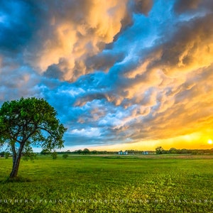 Naturfotografie Druck - Bild von Bunte Gewitterwolken über einsamen Baum bei Sonnenuntergang in Texas Gewitter Himmel Wand Kunst Landhaus Dekor