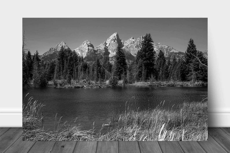 May include: A black and white photograph of a mountain range reflected in a still lake. The mountains are snow-capped and the trees in the foreground are silhouetted against the water.