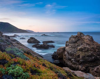 Coastal Wall Art - Picture of Colorful Succulents Along Coast at Sunrise in Big Sur California - Beach and Ocean Photo Artwork Decor