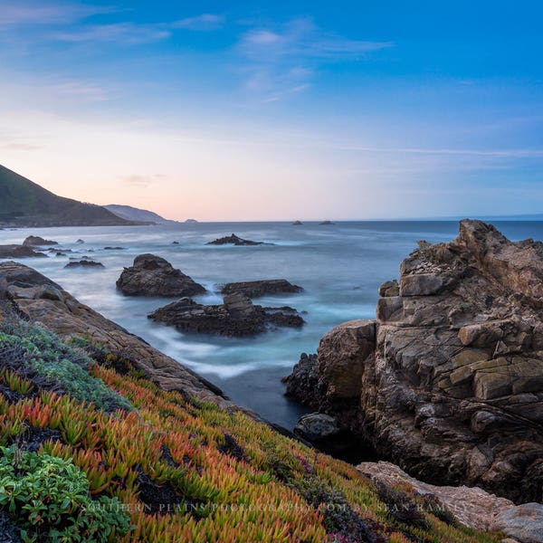 Coastal Wall Art - Picture of Colorful Succulents Along Coast at Sunrise in Big Sur California - Beach and Ocean Photo Artwork Decor