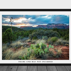 Southwestern Photography Print Picture of Desert Landscape at Sunset near Sedona Arizona Cactus Wall Art Western Decor image 3