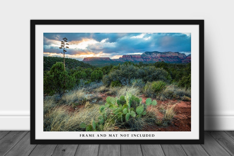 Southwestern Photography Print Picture of Desert Landscape at Sunset near Sedona Arizona Cactus Wall Art Western Decor image 3