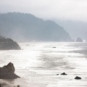 May include: A misty, foggy coastline with a rocky shore and a forested hillside. The ocean waves are crashing on the beach, creating a dramatic scene.