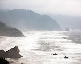 May include: A misty, foggy coastline with a rocky shore and a forested hillside. The ocean waves are crashing on the beach, creating a dramatic scene.
