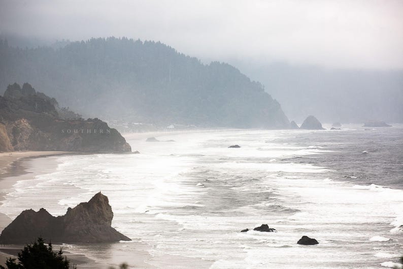 May include: A misty, foggy coastline with a rocky shore and a forested hillside. The ocean waves are crashing on the beach, creating a dramatic scene.