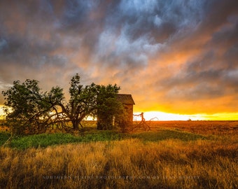 Prairie Photography Print - Wall Art Picture of Abandoned Structure and Windswept Tree Under Scenic Sunset in Oklahoma Landscape Decor